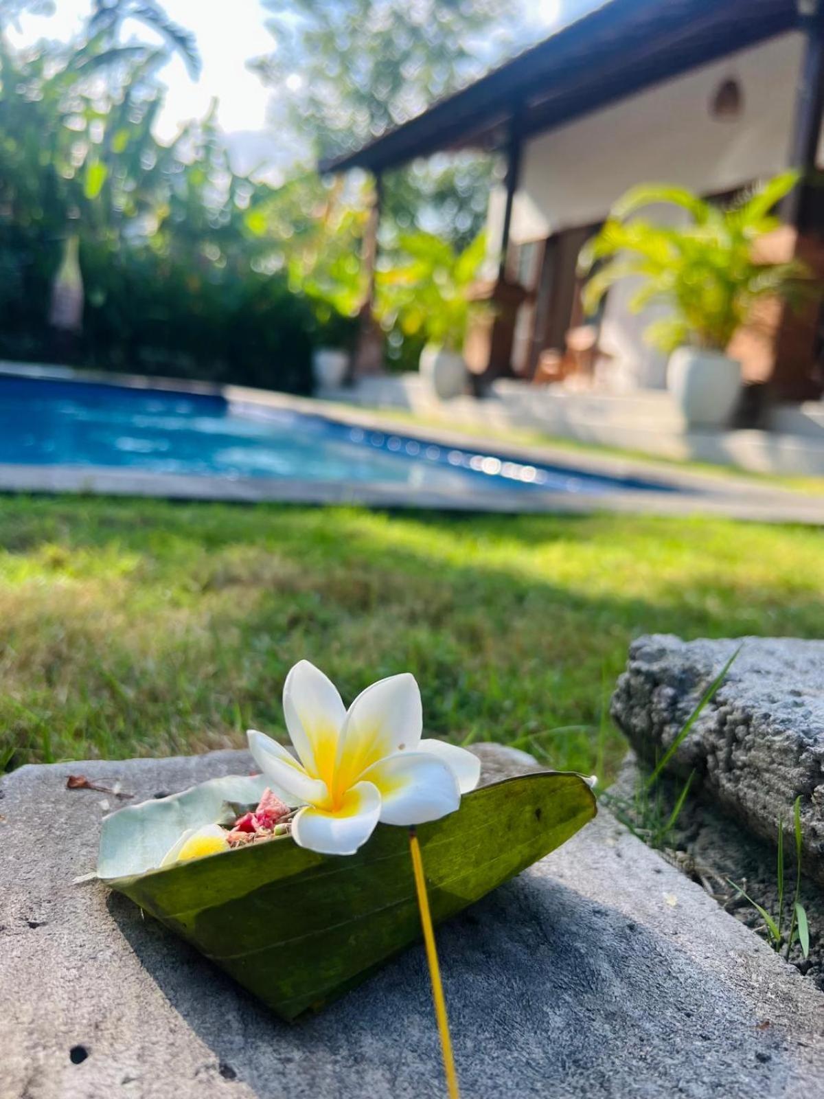 Wiryaroja Guest House 캉구 외부 사진
